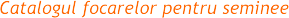 Katalog produktów